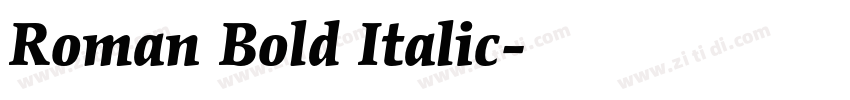 Roman Bold Italic字体转换